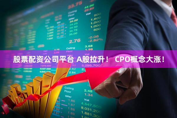 股票配资公司平台 A股拉升！ CPO概念大涨！
